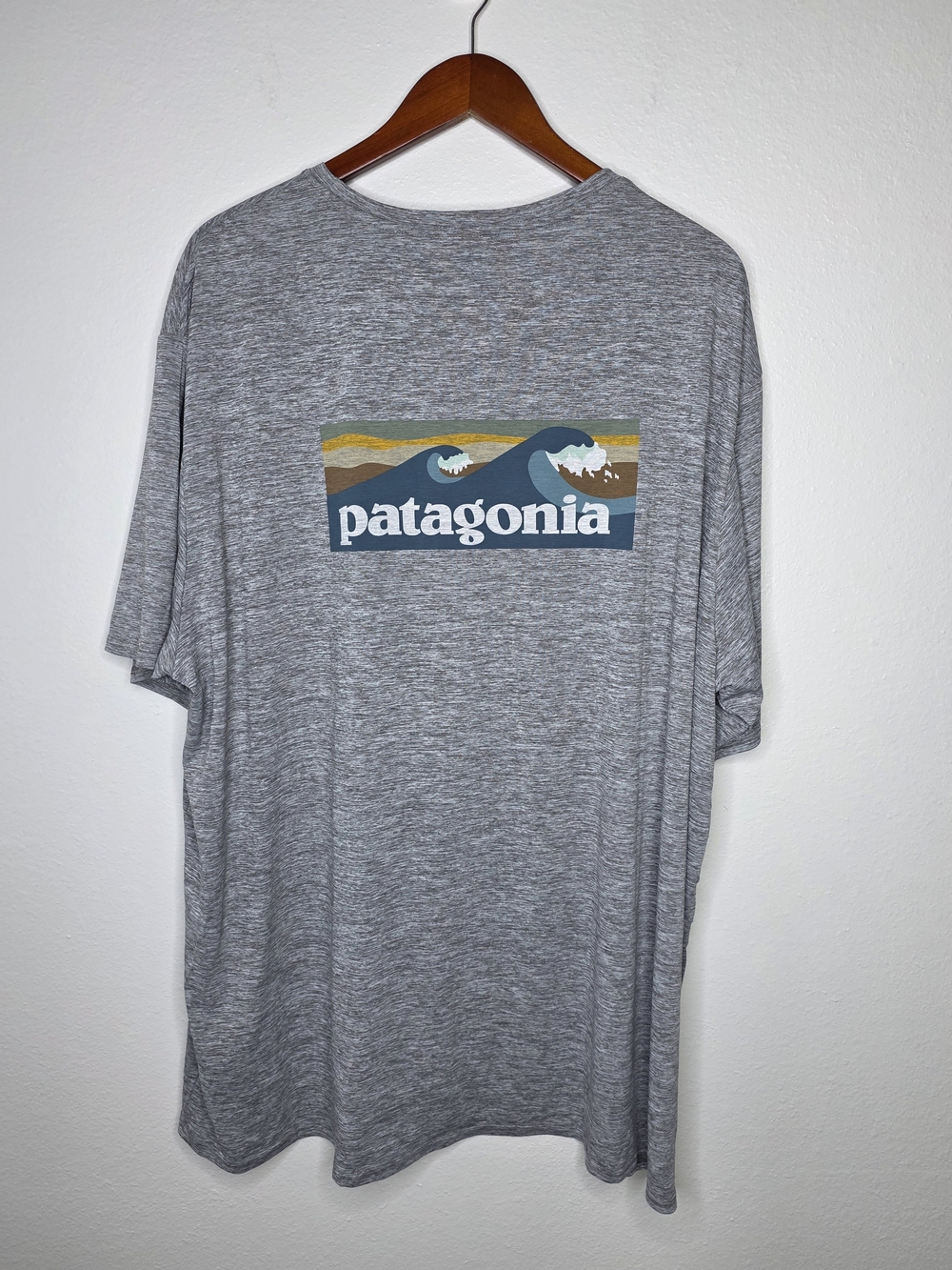 ​Patagonia Mens 3XL Capilene Cool Daily Tee Shirt NWT Boardshort Graphic Grey